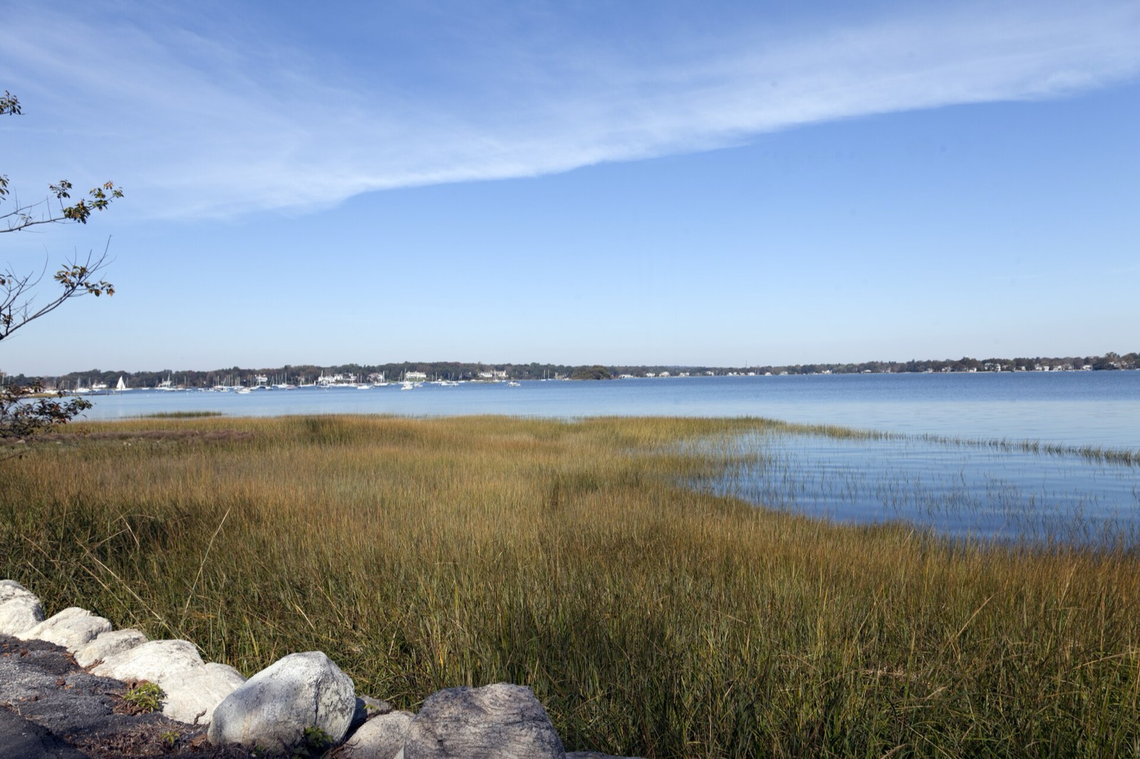 Old Greenwich の Greenwich Point Park にある塩沼と海岸線。